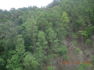 308 83f. rain forest tour - Skyrail