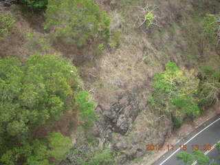 309 83f. rain forest tour - Skyrail