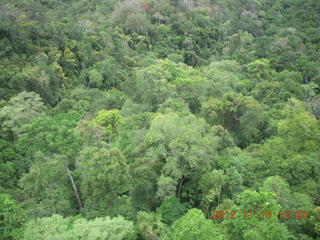 310 83f. rain forest tour - Skyrail
