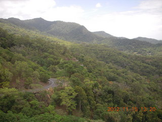 311 83f. rain forest tour - Skyrail