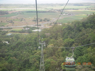 312 83f. rain forest tour - Skyrail