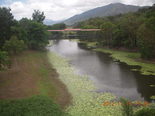 325 83f. rain forest tour - Skyrail