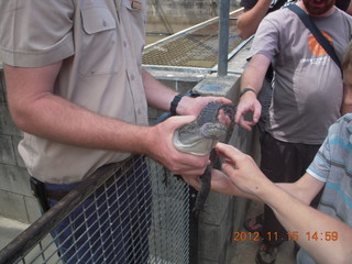 Hartley's Crocodile Adventures - crocodile farm