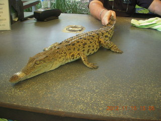 363 83f. Hartley's Crocodile Adventures - crocodile to hold