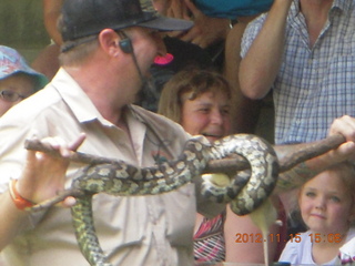 365 83f. Hartley's Crocodile Adventures - snake show