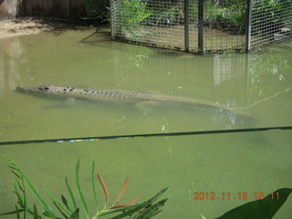 368 83f. Hartley's Crocodile Adventures - snake show crocodile