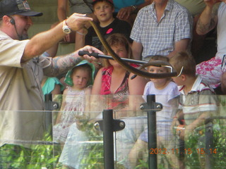 370 83f. Hartley's Crocodile Adventures - snake show