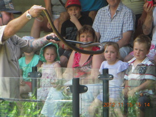 Hartley's Crocodile Adventures - snake show