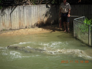 392 83f. Hartley's Crocodile Adventures - crocodile show