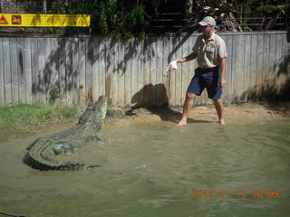 394 83f. Hartley's Crocodile Adventures - crocodile show
