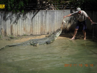 395 83f. Hartley's Crocodile Adventures - crocodile show