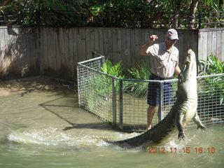 396 83f. Hartley's Crocodile Adventures - crocodile show