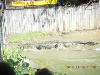 400 83f. Hartley's Crocodile Adventures - crocodile show