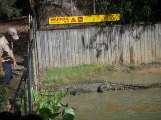 401 83f. Hartley's Crocodile Adventures - crocodile show