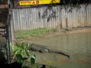 404 83f. Hartley's Crocodile Adventures - crocodile show