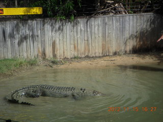 406 83f. Hartley's Crocodile Adventures - crocodile show