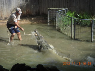 409 83f. Hartley's Crocodile Adventures - crocodile show