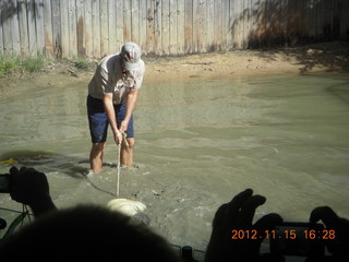 Hartley's Crocodile Adventures - crocodile show