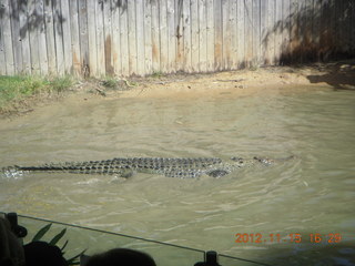 Hartley's Crocodile Adventures - crocodile show