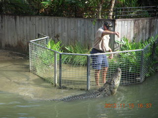 415 83f. Hartley's Crocodile Adventures - crocodile show