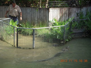 416 83f. Hartley's Crocodile Adventures - crocodile show