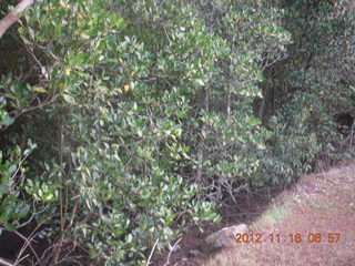 Cairns, Australia run