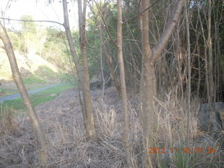 Cairns, Australia run