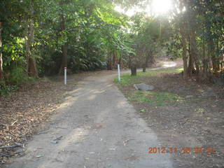 Cairns, Australia - Adam running