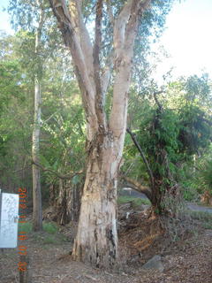 Cairns, Australia - Adam running