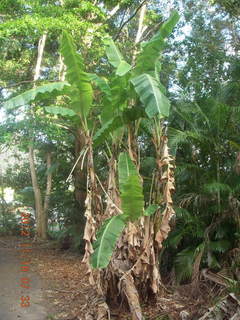 Cairns, Australia run