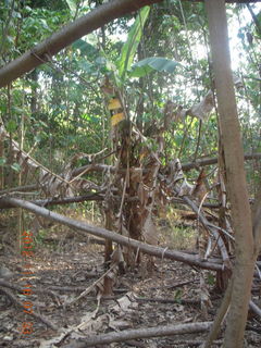 Cairns, Australia run