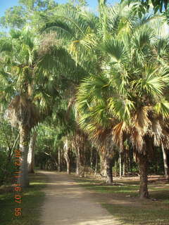 61 83g. Cairns, Australia run - Cairns Botanical Garden