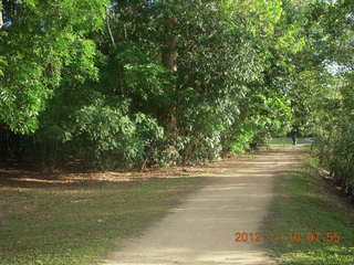 Cairns, Australia run - Cairns Botanical Garden