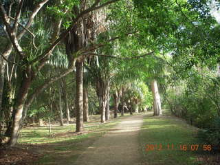 63 83g. Cairns, Australia run - Cairns Botanical Garden