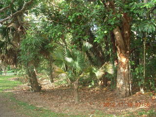 Cairns, Australia run - Cairns Botanical Garden