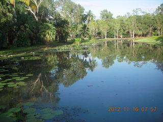 Cairns, Australia run - Cairns Botanical Garden - lily lake