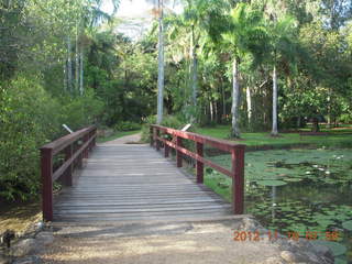 75 83g. Cairns, Australia run - Cairns Botanical Garden - bridge over lily lake