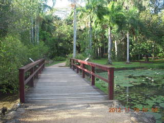 Cairns, Australia run - Cairns Botanical Garden - bridge over lily lake