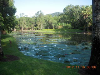 Cairns, Australia run - Cairns Botanical Garden