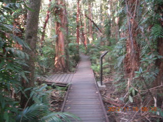 Cairns, Australia run - Cairns Botanical Garden - boardwalk