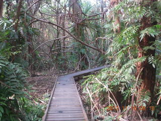 Cairns, Australia run - Cairns Botanical Garden - boardwalk