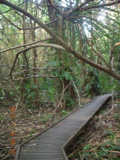 Cairns, Australia run - Cairns Botanical Garden - boardwalk sign