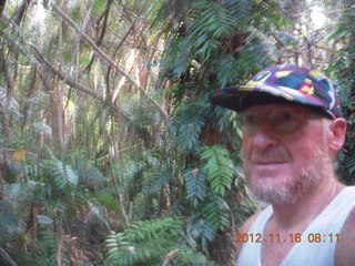 1896 83g. Cairns, Australia run - Cairns Botanical Garden - boardwalk - Adam