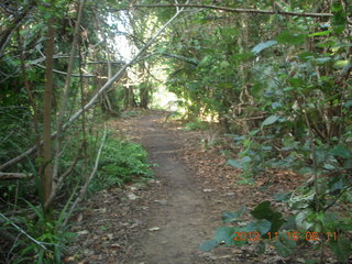 103 83g. Cairns, Australia run - Cairns Botanical Garden - boardwalk