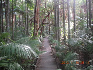 105 83g. Cairns, Australia run - Cairns Botanical Garden - boardwalk