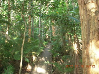 106 83g. Cairns, Australia run - Cairns Botanical Garden - boardwalk