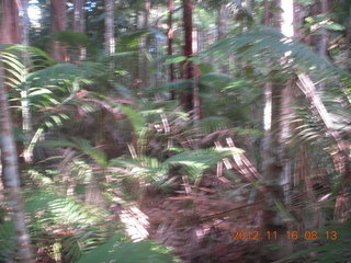 107 83g. Cairns, Australia run - Cairns Botanical Garden - boardwalk