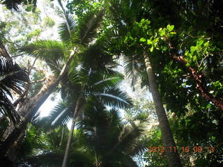 Cairns, Australia run - Cairns Botanical Garden - boardwalk