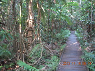 115 83g. Cairns, Australia run - Cairns Botanical Garden - boardwalk