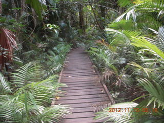 Cairns, Australia run - Cairns Botanical Garden - boardwalk